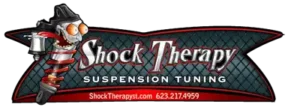 shock-therapy-new-logo